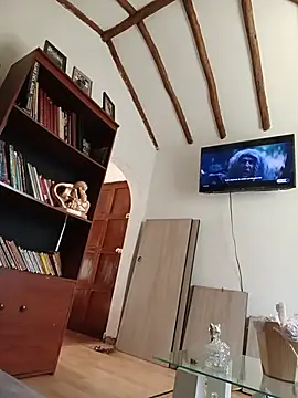tata_sanz_ webcam