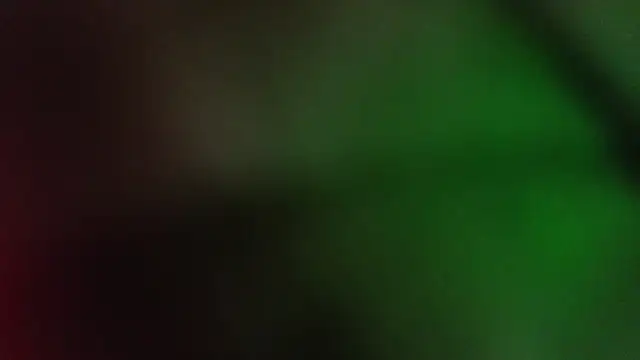 sasi_luna webcam