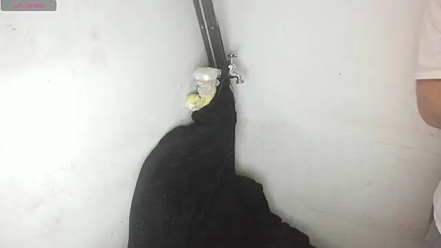 PamelaDoouce webcam