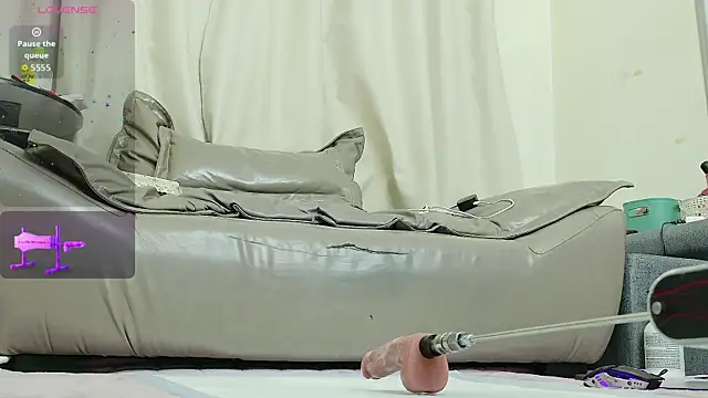 fox-yiyi