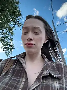 CityLynx webcam