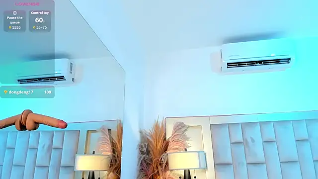 MaxxieRay webcam