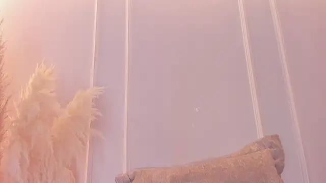 sarah-bonneth webcam