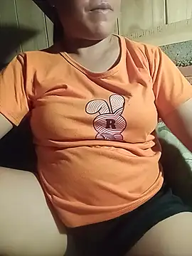 Ip34 webcam