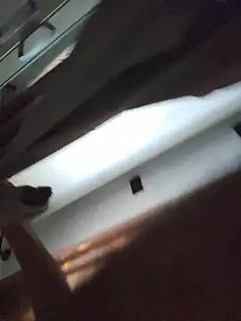 Shady88 webcam