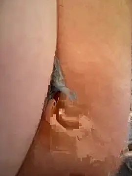 Lindsay_Arygame webcam