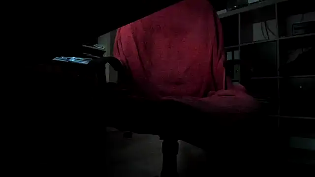 leccaleccafiga webcam