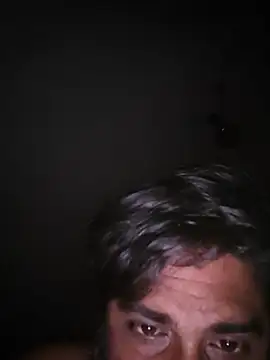 honbok webcam