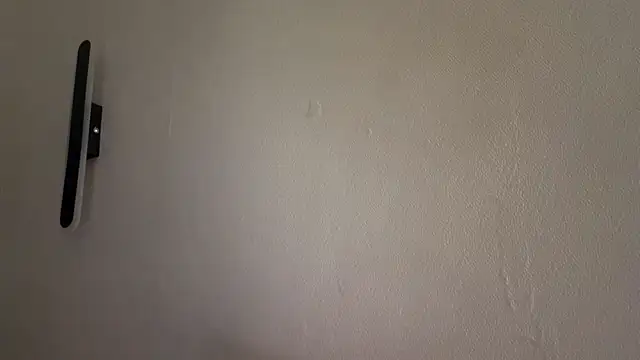 Ur_neighbor_Kira webcam
