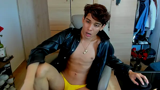 AliottTwink webcam