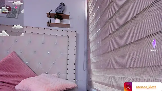 Atenea_Klett_ webcam