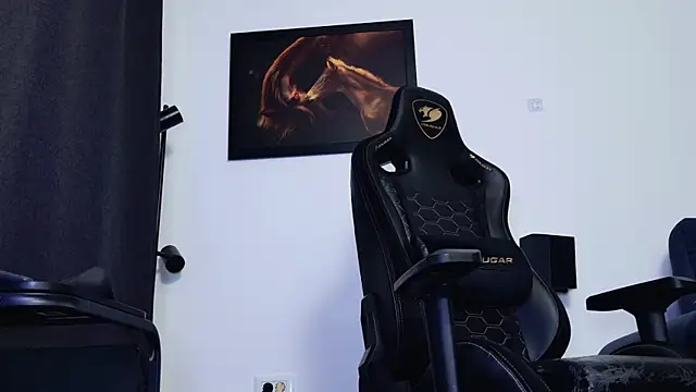 ChrisKox webcam