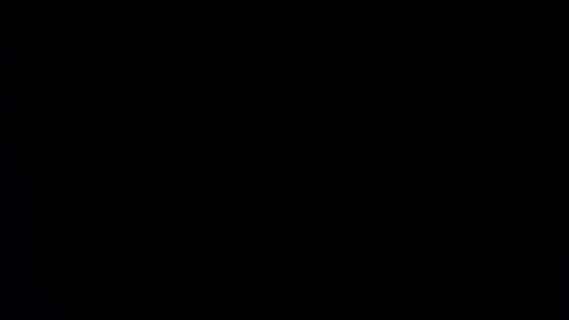 Damian64420 webcam