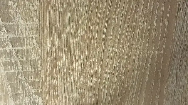NoFace_Model webcam
