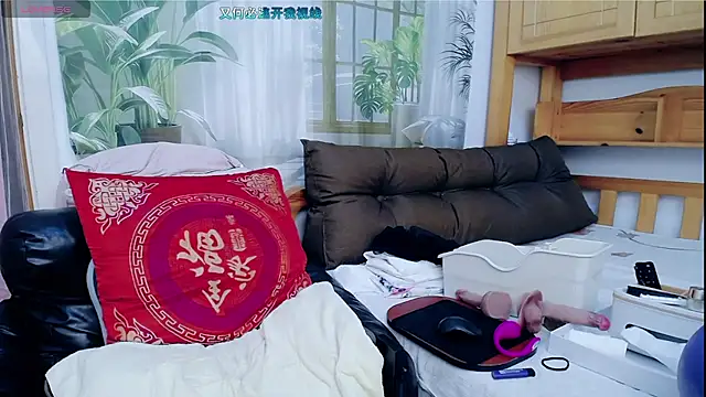 amysasa webcam