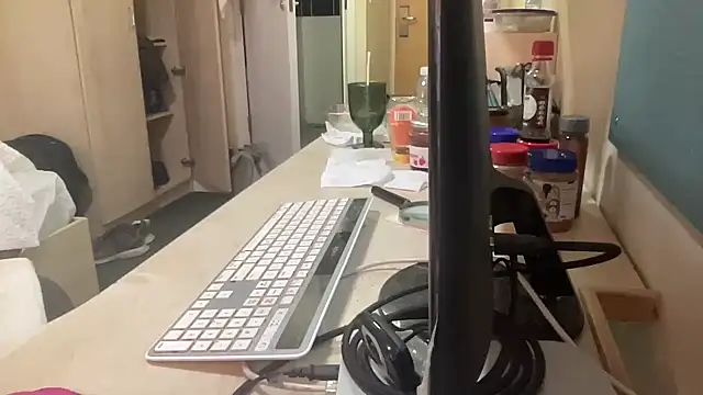 coach-karl webcam