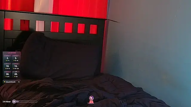 lefty15242 webcam