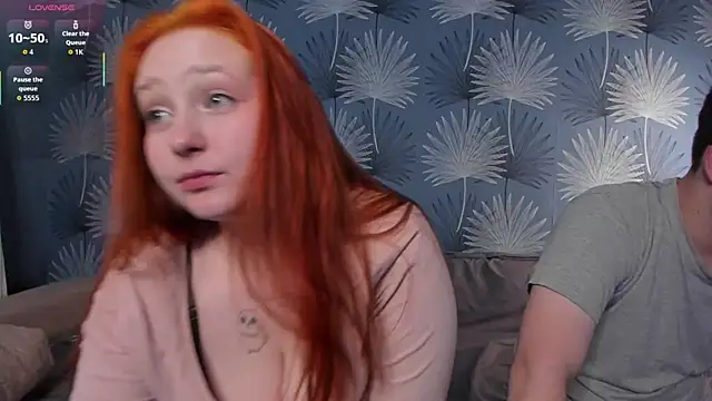 couple_of_kittens_ webcam