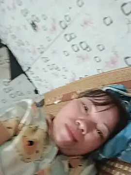 Sana-vn webcam