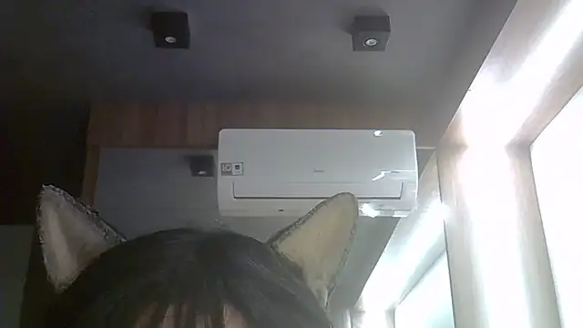 SkinnyKitten webcam