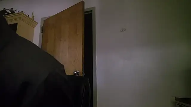 chronic_vibez webcam