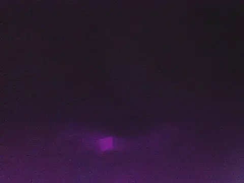 Mushroom83 webcam