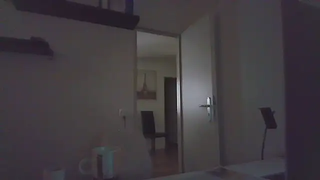alpha-hunk webcam