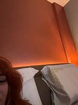 DarkDesin webcam