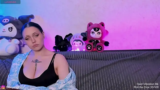 SleepingDuo webcam