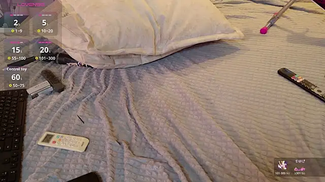 Nicolle_moors webcam