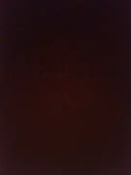 Bacongodxxx webcam