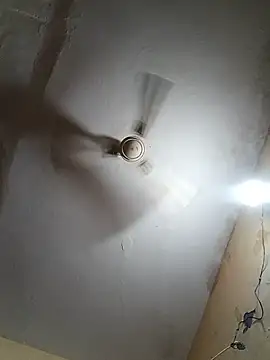 rani12348 webcam