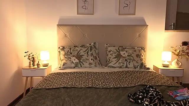 Fortuna-kitty webcam