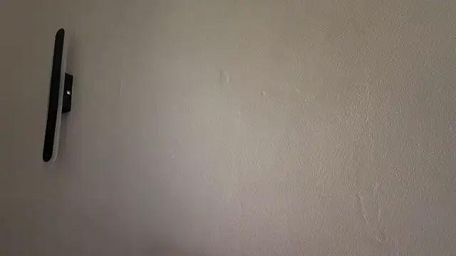 Ur_neighbor_Kira webcam