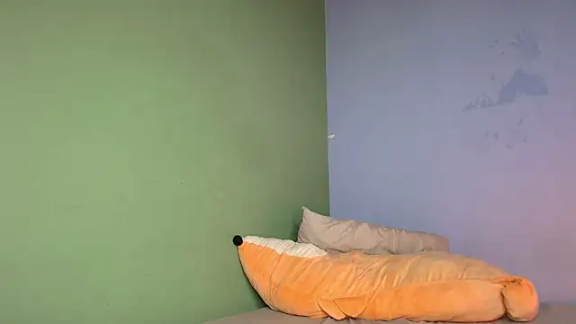 hey_maya webcam
