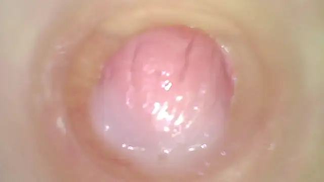 karol_stom webcam