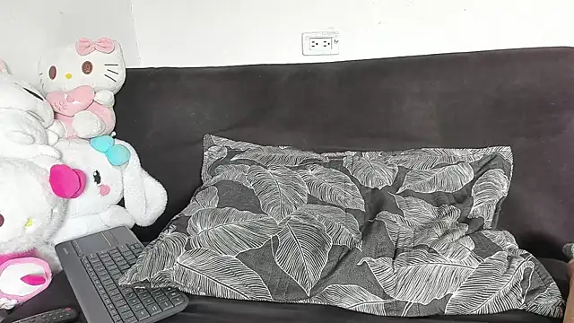 Eirlysx webcam
