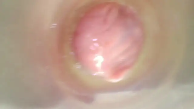karol_stom webcam