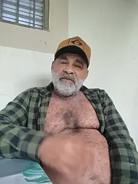 Peludo173317