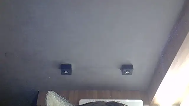 SkinnyKitten webcam