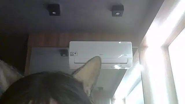 SkinnyKitten webcam