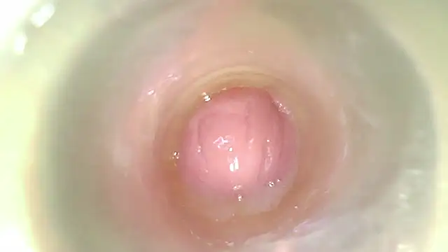 karol_stom live cam