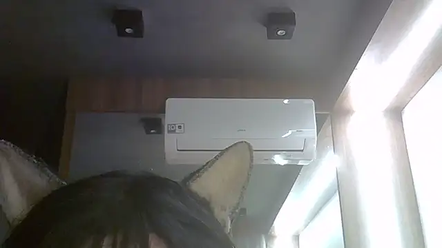 SkinnyKitten webcam