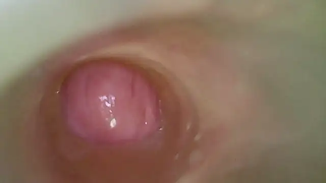 karol_stom webcam
