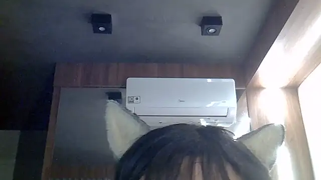 SkinnyKitten webcam