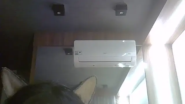 SkinnyKitten webcam