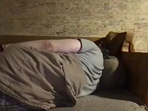 -TrafoX3- webcam