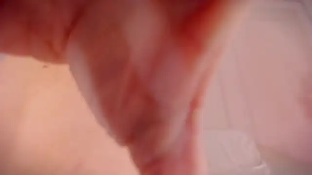 babepolly webcam