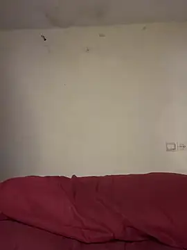 arabayla webcam