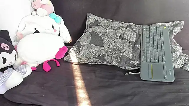 Eirlysx webcam